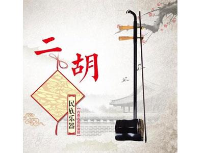 招聘镇江二胡家教老师